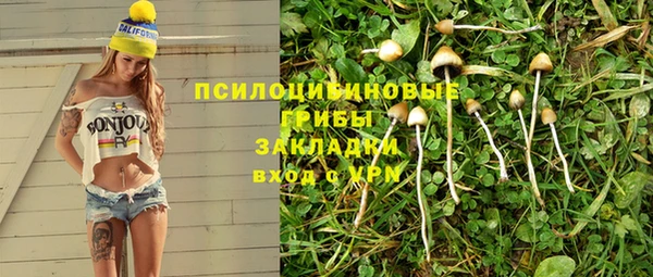 сатива Абдулино