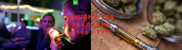 прущие грибы Алзамай