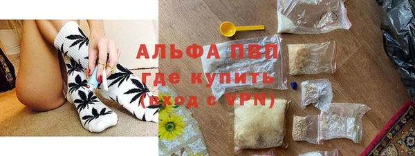 прущие грибы Алзамай