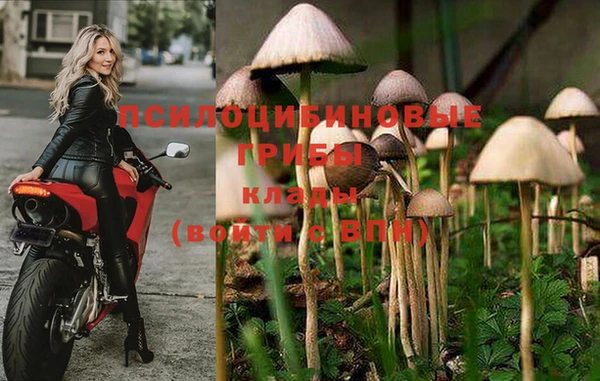 скорость Алексин