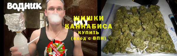 прущие грибы Алзамай