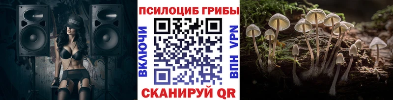 shop наркотические препараты  mega как зайти  Красавино  Псилоцибиновые грибы мухоморы 